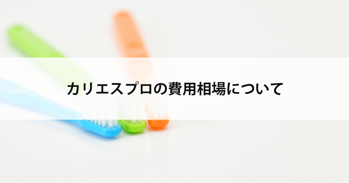 【新潟市西区新潟大学前駅の歯医者】カリエスプロの費用相場について