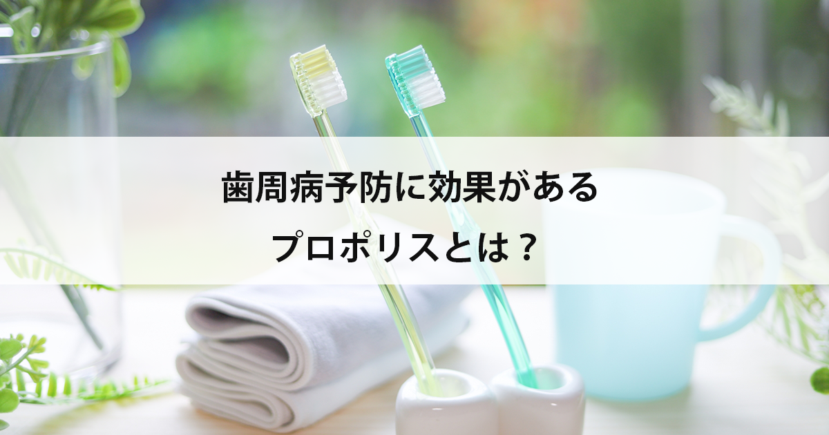 【新潟の歯医者で歯周病治療】歯周病予防に効果があるプロポリスとは?